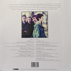 Hanglemez The Cranberries - Dreams: The Collection (LP) - 2