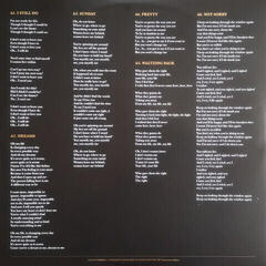 Vinilinė plokštelė The Cranberries Everybody Else Is Doing It, So Why Can't We (Vinyl LP) - 5