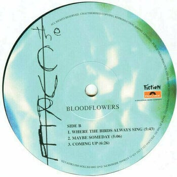 Vinyl Record The Cure - Bloodflowers (2 LP) - 7