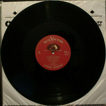 Disque vinyle Fritz Reiner - Moussorgsky/Ravel: Pictures At An Exhibition (LP) - 6