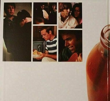 Disque vinyle The Beach Boys - The Beach Boys' Party! (LP) - 3