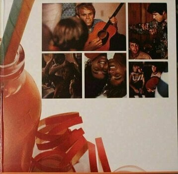 Disque vinyle The Beach Boys - The Beach Boys' Party! (LP) - 4