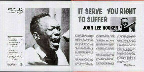 Vinyl Record John Lee Hooker - It Serve You Right To Suffer (2 LP) - 2