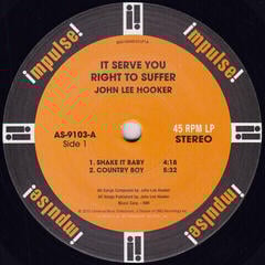 Schallplatte John Lee Hooker - It Serve You Right To Suffer (2 LP) - 1