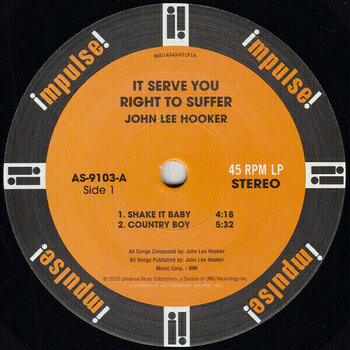 LP John Lee Hooker - It Serve You Right To Suffer (2 LP) - 4