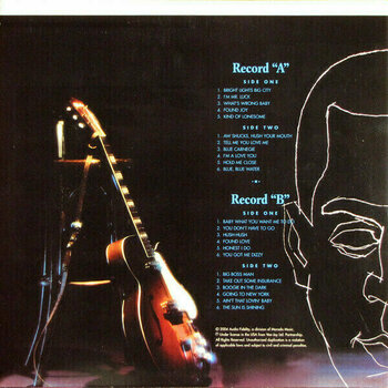 Vinylskiva Jimmy Reed - Jimmy Reed at Carnegie Hall (2 LP) - 2