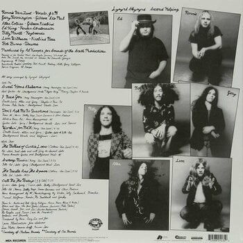 Disco de vinil Lynyrd Skynyrd - Second Helping (200g (LP) - 2