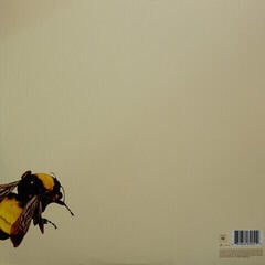 Disco in vinile Tyler The Creator - Scum Fuck Flower Boy (Gatefold Sleeve) (2 LP) - 6