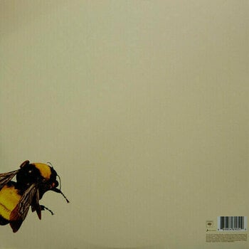 LP Tyler The Creator Scum Fuck Flower Boy (Gatefold Sleeve) (2 LP) - 25