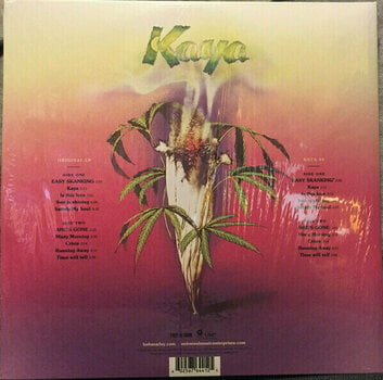 Vinyl Record Bob Marley & The Wailers - Kaya 40 (2 LP) - 3