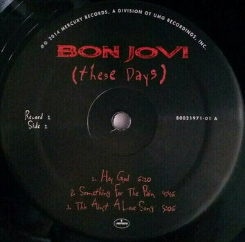 Vinyl Record Bon Jovi - These Days (2 LP) - 5