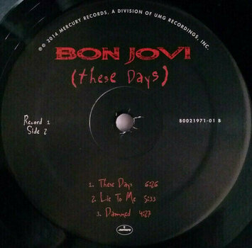 Vinyl Record Bon Jovi - These Days (2 LP) - 6
