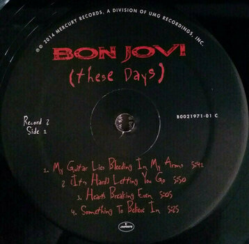 Vinyl Record Bon Jovi - These Days (2 LP) - 7