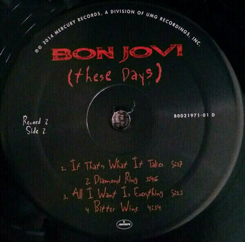 LP Bon Jovi - These Days (2 LP) - 8
