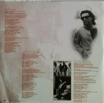 Vinylskiva Bon Jovi - These Days (2 LP) - 9