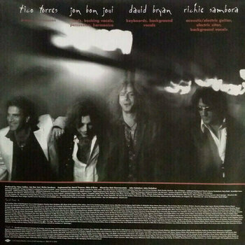 Vinyylilevy Bon Jovi - These Days (2 LP) - 12
