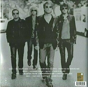 Vinylskiva Bon Jovi - The Circle (2 LP) - 2