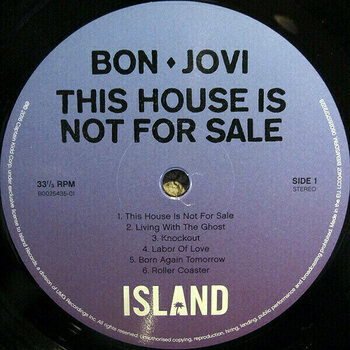 Vinyylilevy Bon Jovi - This House Is Not For Sale (LP) - 8