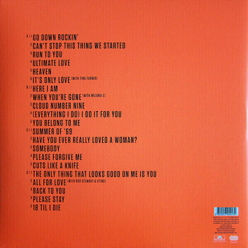Vinyl Record Bryan Adams - Ultimate (2 LP) - 8
