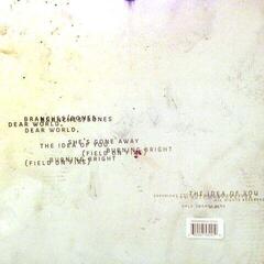 Hanglemez Nine Inch Nails - Not The Actual Events (LP) - 4