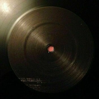 LP Nine Inch Nails - Not The Actual Events (LP) - 6