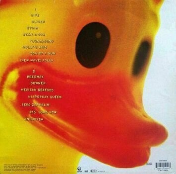 Disque vinyle Nirvana - Incesticide (2 LP) - 9