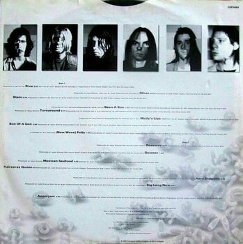 Disque vinyle Nirvana - Incesticide (2 LP) - 8
