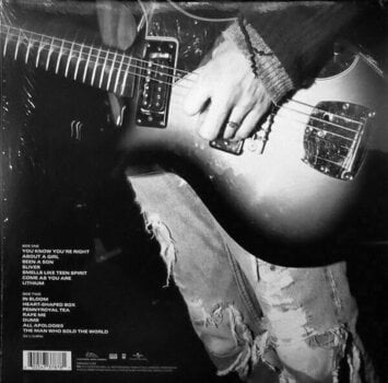 Vinylskiva Nirvana - Nirvana (LP) - 4