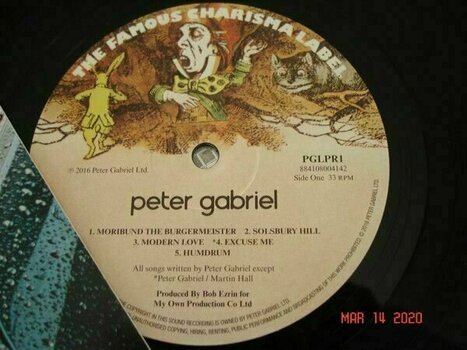Vinyl Record Peter Gabriel - Car (LP) - 5