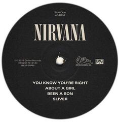 LP ploča Nirvana - Nirvana (2 LP) - 2