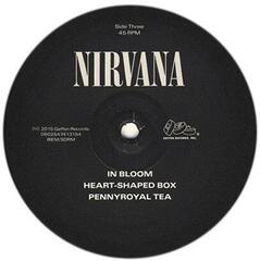 LP ploča Nirvana - Nirvana (2 LP) - 4