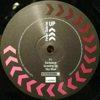 Vinyl Record Peter Gabriel - Up (2 LP) - 5