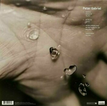 Hanglemez Peter Gabriel - Up (2 LP) - 6