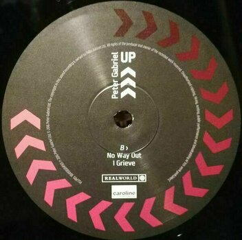 Vinyl Record Peter Gabriel - Up (2 LP) - 7