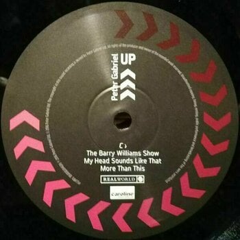 Vinyl Record Peter Gabriel - Up (2 LP) - 10