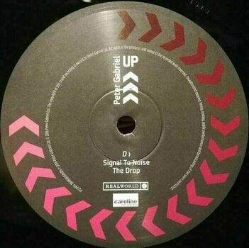Vinyl Record Peter Gabriel - Up (2 LP) - 14