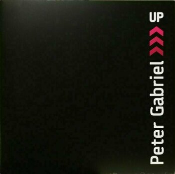 Vinyl Record Peter Gabriel - Up (2 LP) - 16