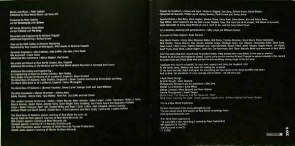 Δίσκος LP Peter Gabriel - Up (2 LP) - 19
