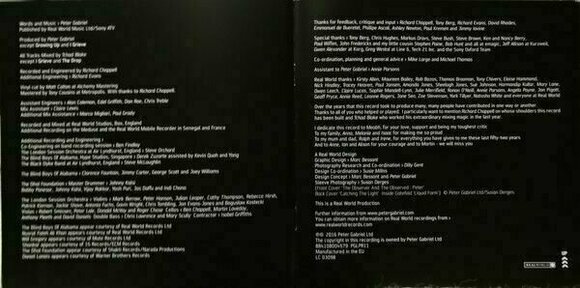Vinyl Record Peter Gabriel - Up (2 LP) - 21