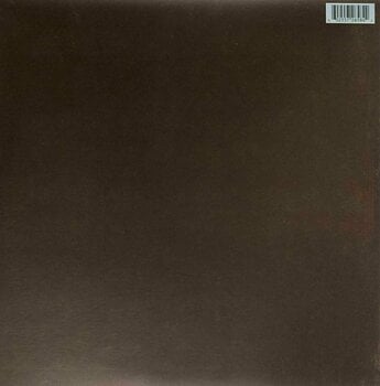 Vinyl Record Post Malone - Stoney (2 LP) - 8