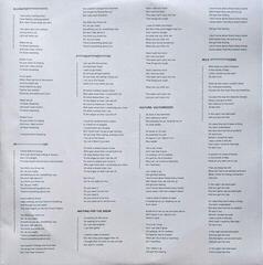 LP ploča Of Monsters and Men - Fever Dream (LP) - 6