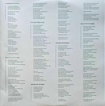 LP plošča Of Monsters and Men - Fever Dream (LP) - 7