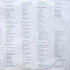 LP ploča Of Monsters and Men - Fever Dream (LP) - 7