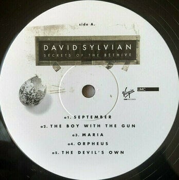 Vinyl Record David Sylvian - Secrets Of The Beehive (LP) - 5