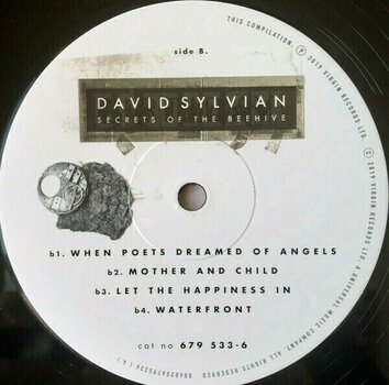 Vinyl Record David Sylvian - Secrets Of The Beehive (LP) - 6