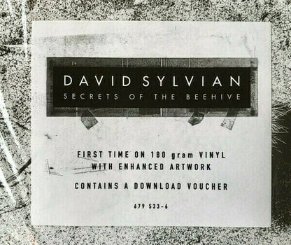 LP deska David Sylvian - Secrets Of The Beehive (LP) - 9