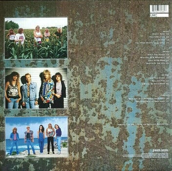 Schallplatte Def Leppard - The Vinyl Collection Volume Two (10 LP) - 8