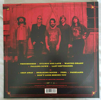 Vinyylilevy Duff McKagan - Tenderness (LP) - 7