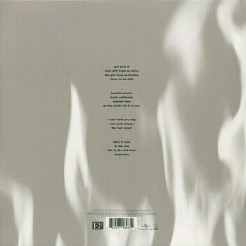 Грамофонна плоча Eagles - Hell Freezes Over (2 LP) - 13