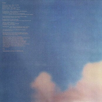 LP platňa Dire Straits - Brothers In Arms (2 LP) - 12